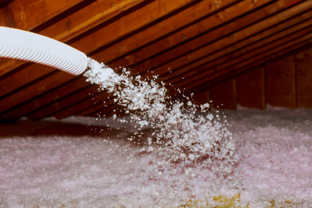 Best Eco-Friendly Insulation in Middle Valley, TN
