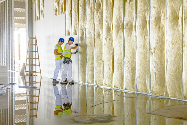 Best Cellulose Insulation in Middle Valley, TN